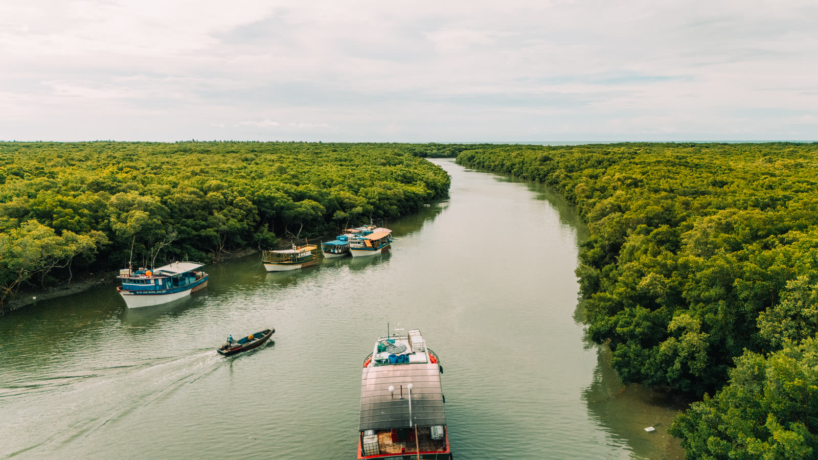Mangue da Ilha do Guajiru